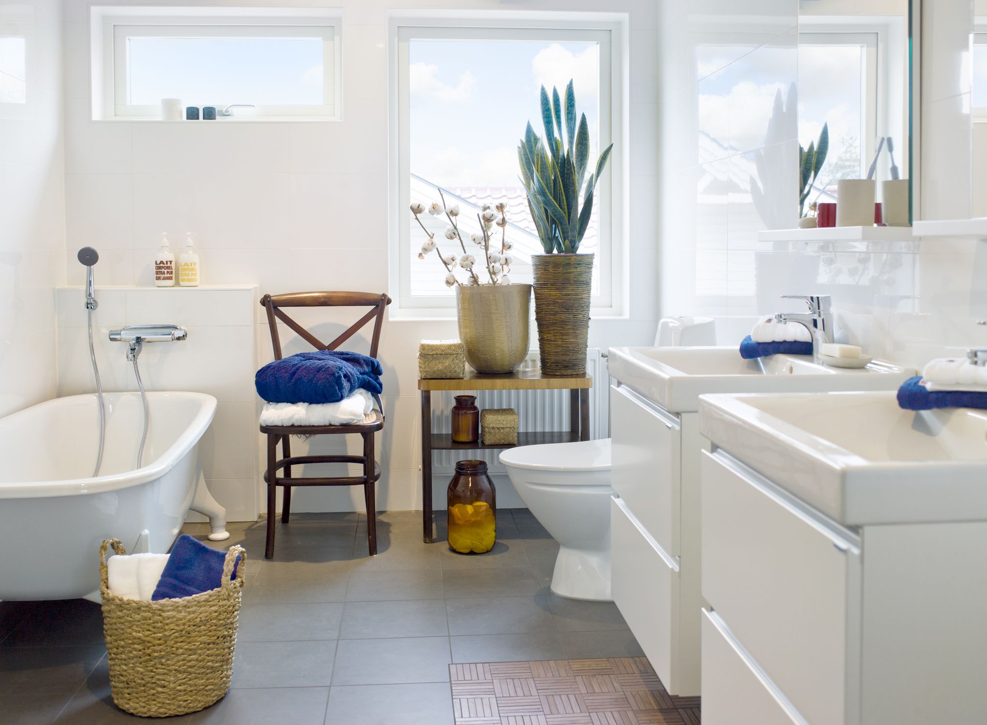 5 of the Best Bathroom Plants That Thrive in Humidity