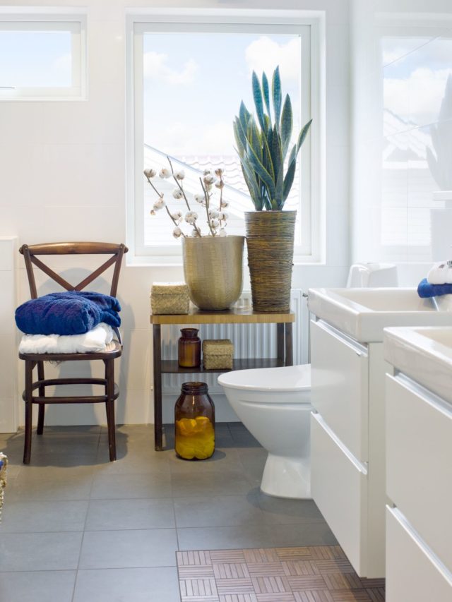 Plants To Keep In Bathroom As Per Vastu Morning Lazziness