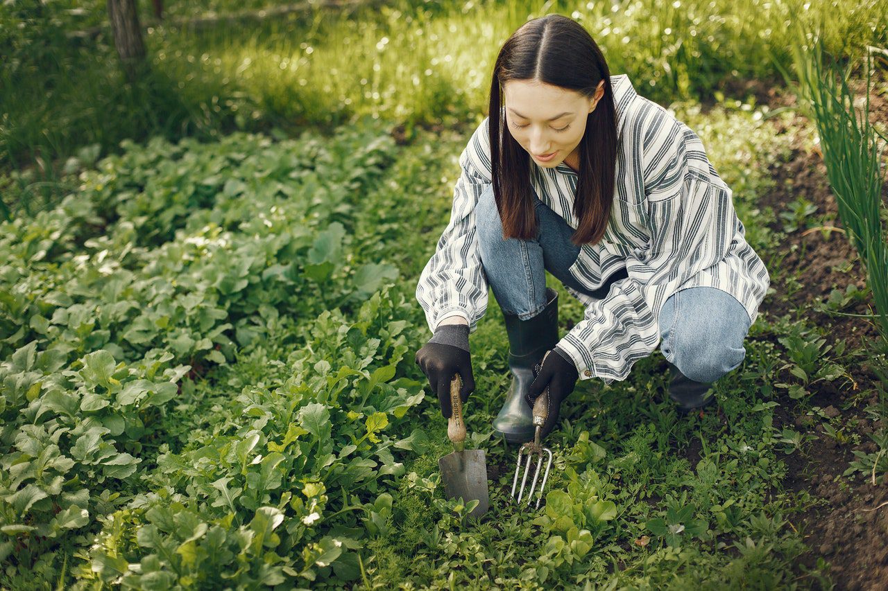 7 Amazing Health Benefits of Gardening
