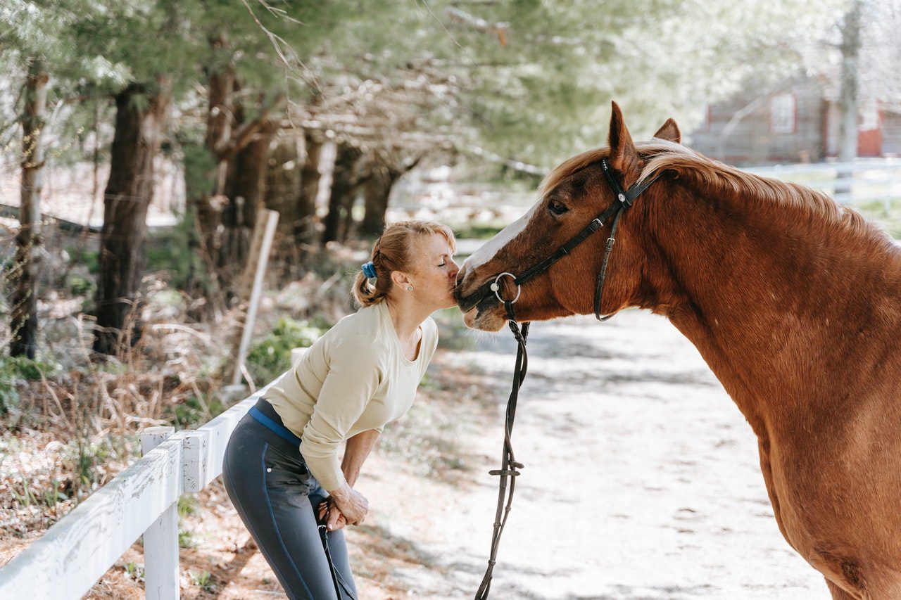 --THIS IS WHY YOUR HORSE NEEDS CBD MORE THAN YOU