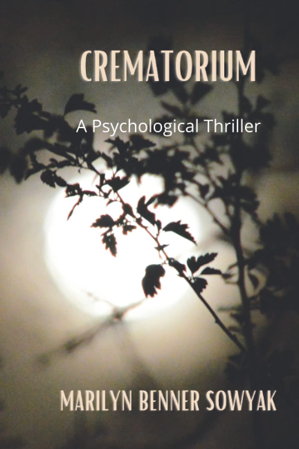 Crematorium- A Psychological Thriller 