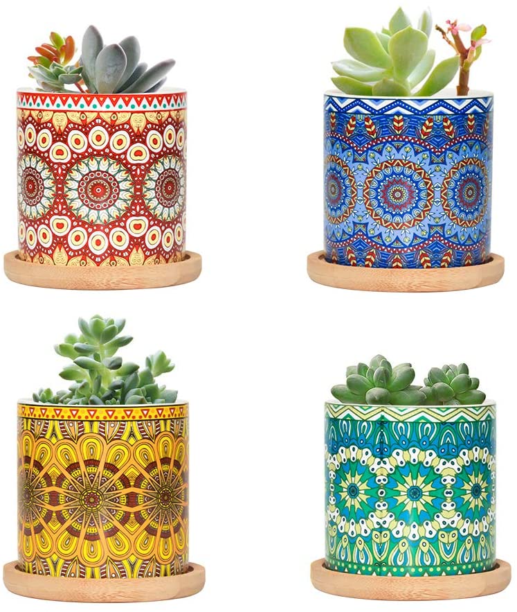 FairyLavie Succulent Pots