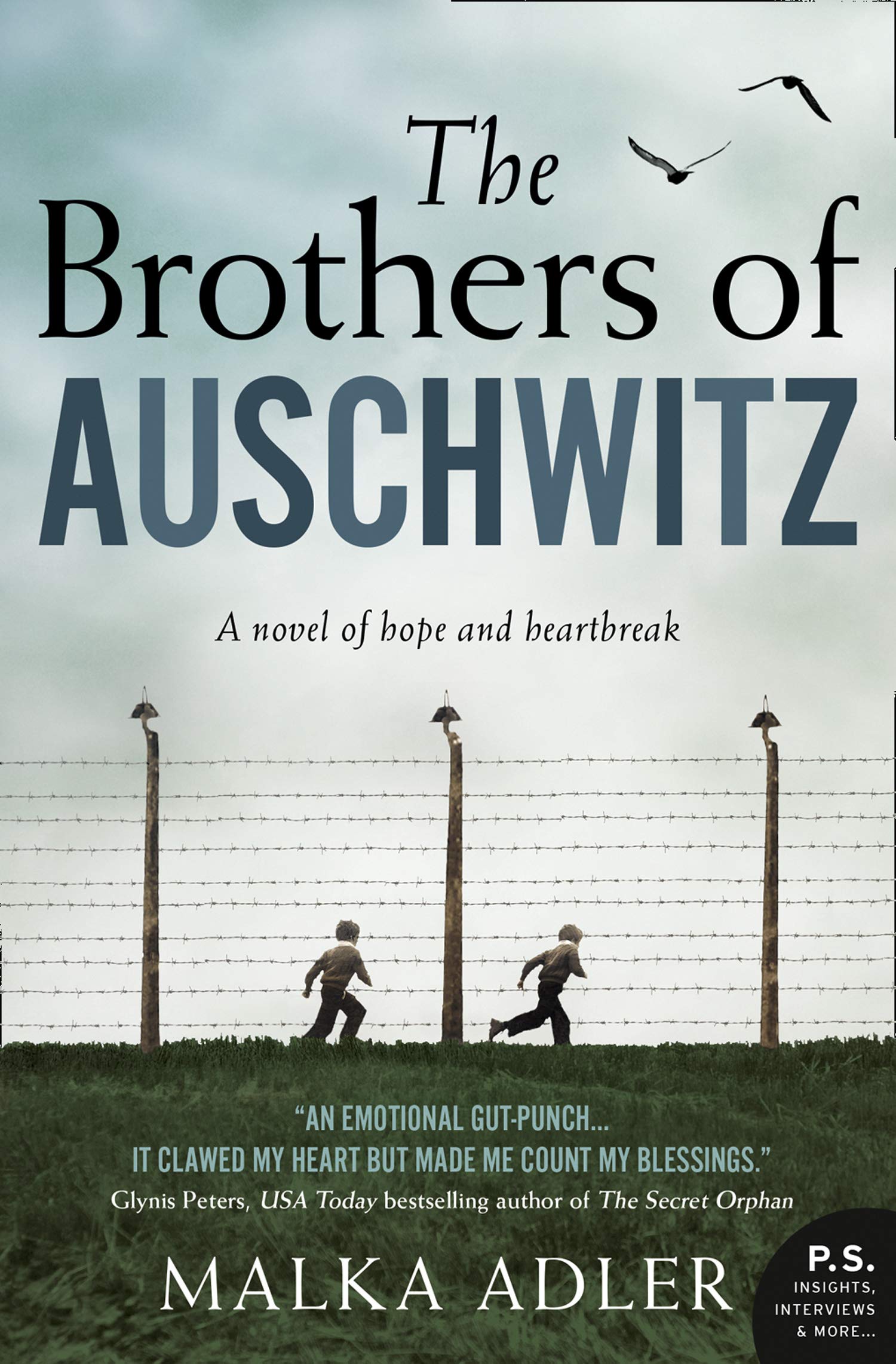 The Brothers of Auschwitz- The USA Today bestseller