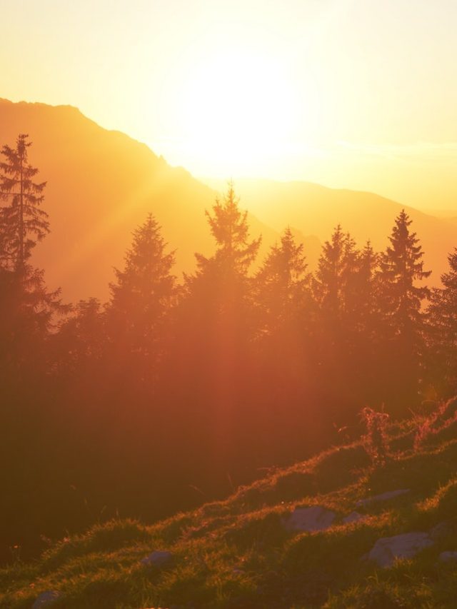 Quotes for Sunrise Lovers