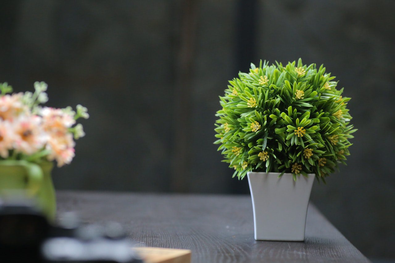 Artificial Plants & Flowers