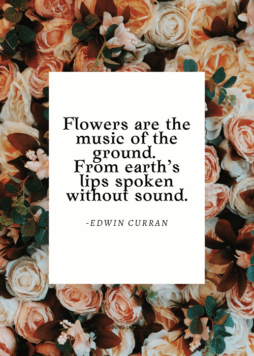 Quotes On The Natural Beauty Of Flowers