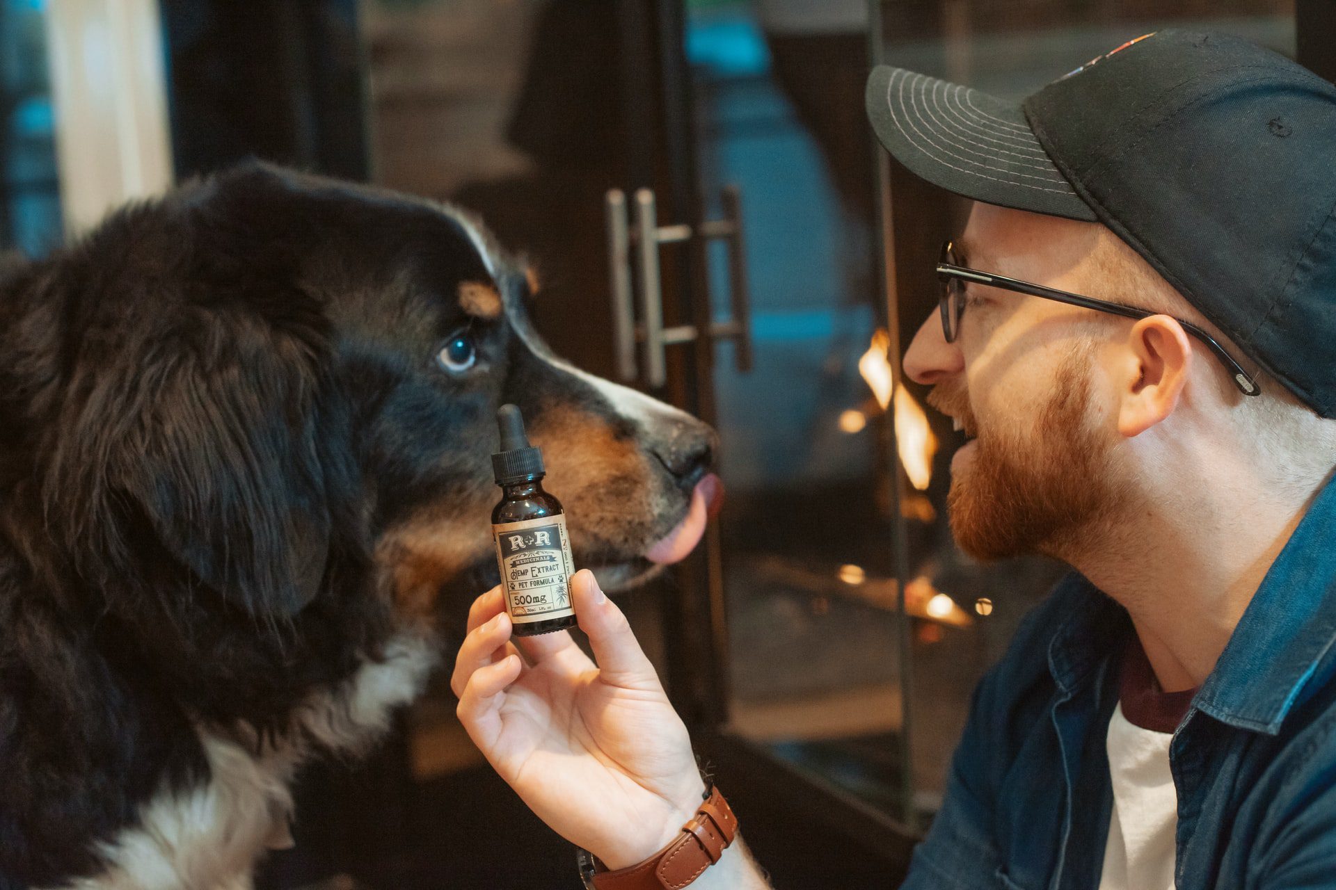 CBD PRODUCTS FOR DOGS