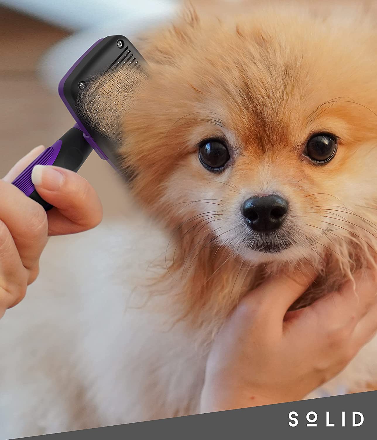 Cat Brush for Shedding