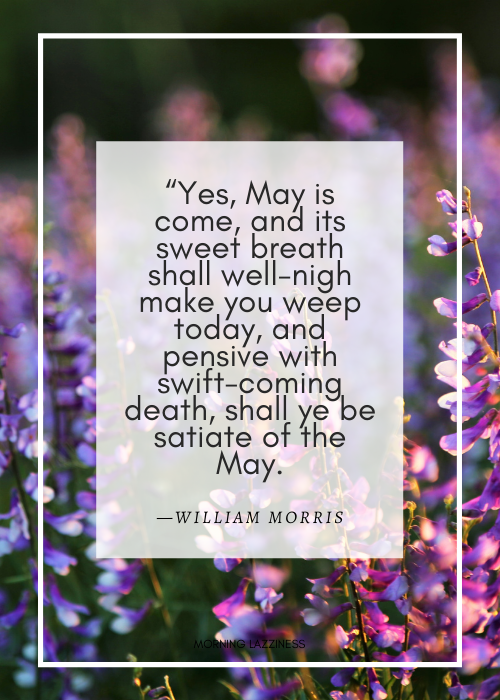 Best May quotes
