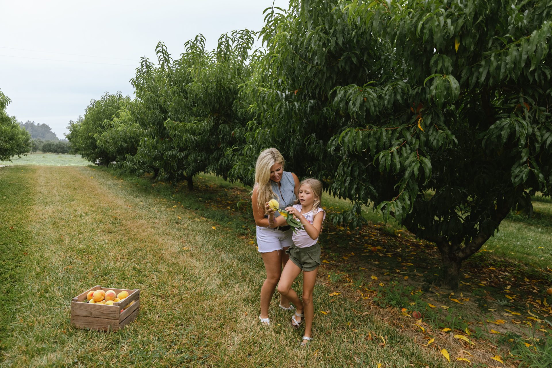 A Perfectly Imperfect Business Meet The Frozen Farmer Morning Lazziness