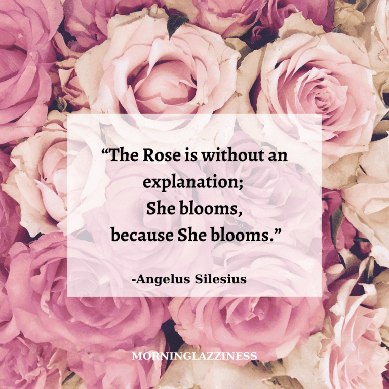 60 Best Rose Quotes To Appreciate the Beauty Of Life and Thorns