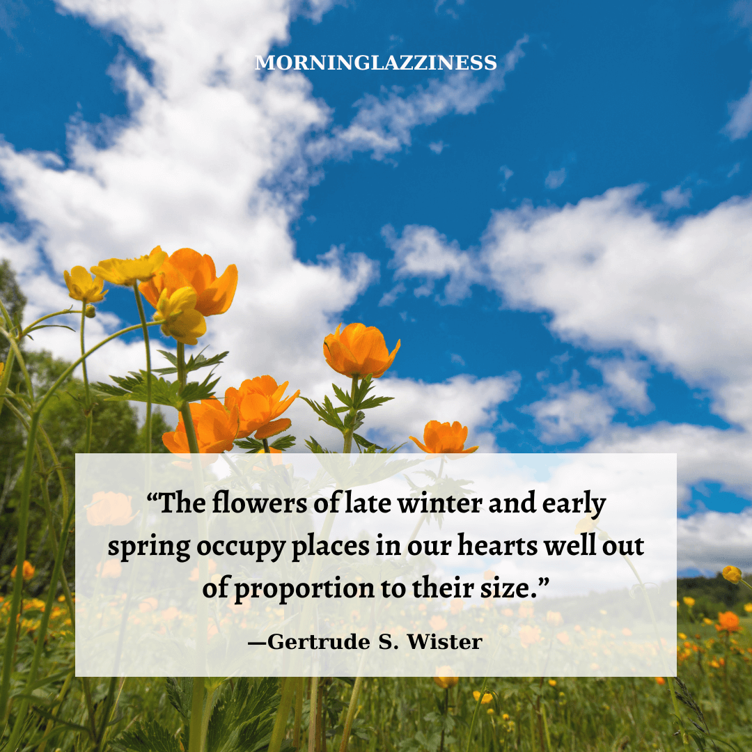 Spring QUOTES