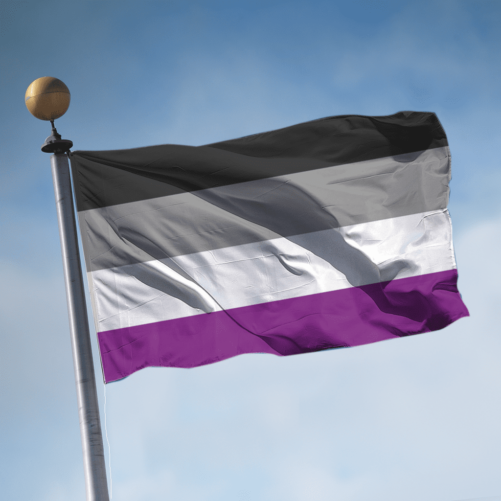 The Asexual Pride Flag