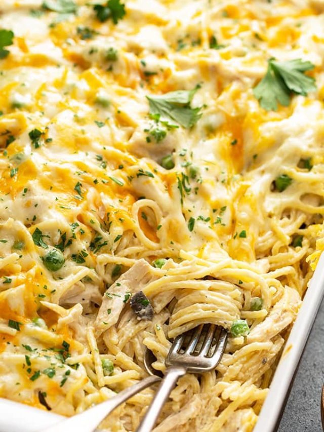 Chicken Tetrazzini3
